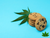 cookies cannabis